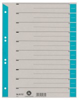Trennblatt, A4, Karton, farbig bedruckt, hellblau