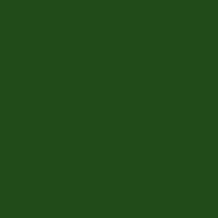 Serviette Zellstoff 25 x 25 cm 20er Packung dunkelgrün