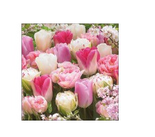 Serviette "Pink Tulips" 33 x 33 cm 20er Packung